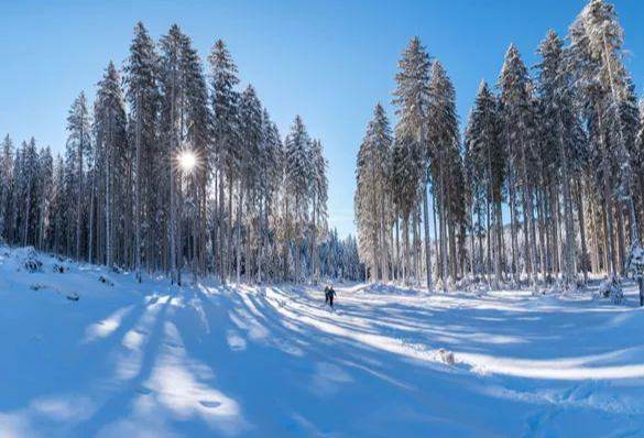 Arosa Winterwandern